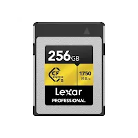 Carte mémoire Lexar Professional Gold Series CFexpress Type B 256 Go Noir