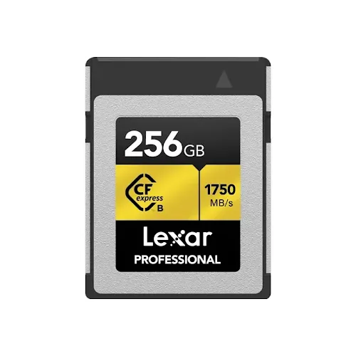 Carte mémoire Lexar Professional Gold Series CFexpress Type B 256 Go Noir