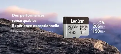 Carte mémoire Lexar Professional SILVER PLUS 128 Go MicroSDXC