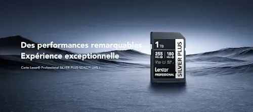 Carte mémoire Lexar Professional SILVER PLUS 512 Go SDXC