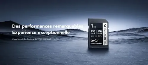 Carte mémoire Lexar Professional SILVER PLUS 64 Go SDXC