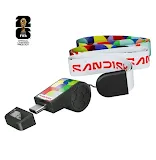 Clé USB-C SanDisk SDCZIA-064G-G46 64 Go
