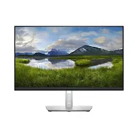 Écran Dell P2422H 23.8" Full HD