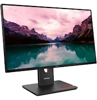 Écran Lenovo ThinkVision T24-40 24" Full HD
