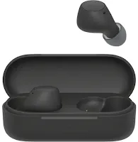 Ecouteurs sans fil Sony WF-C510 Noir