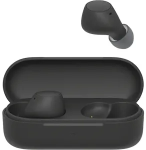 Ecouteurs sans fil Sony WF-C510 Noir