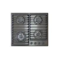 Plaque Schneider 6L4GT DIX OLIGARK 60Cm Inox