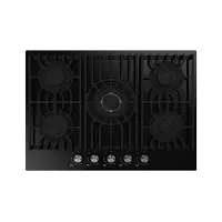 Plaque Schneider 74GT BLG FLINN 70Cm Noir