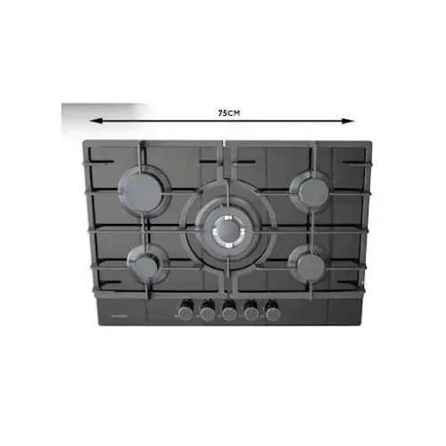 Plaque Schneider 75GQ095 75Cm Noir