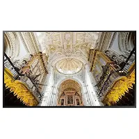 Samsung LH55QBNEBGC 55"