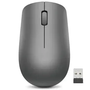 Souris sans fil Lenovo 530 Graphite