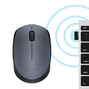 Souris sans fil Logitech M170