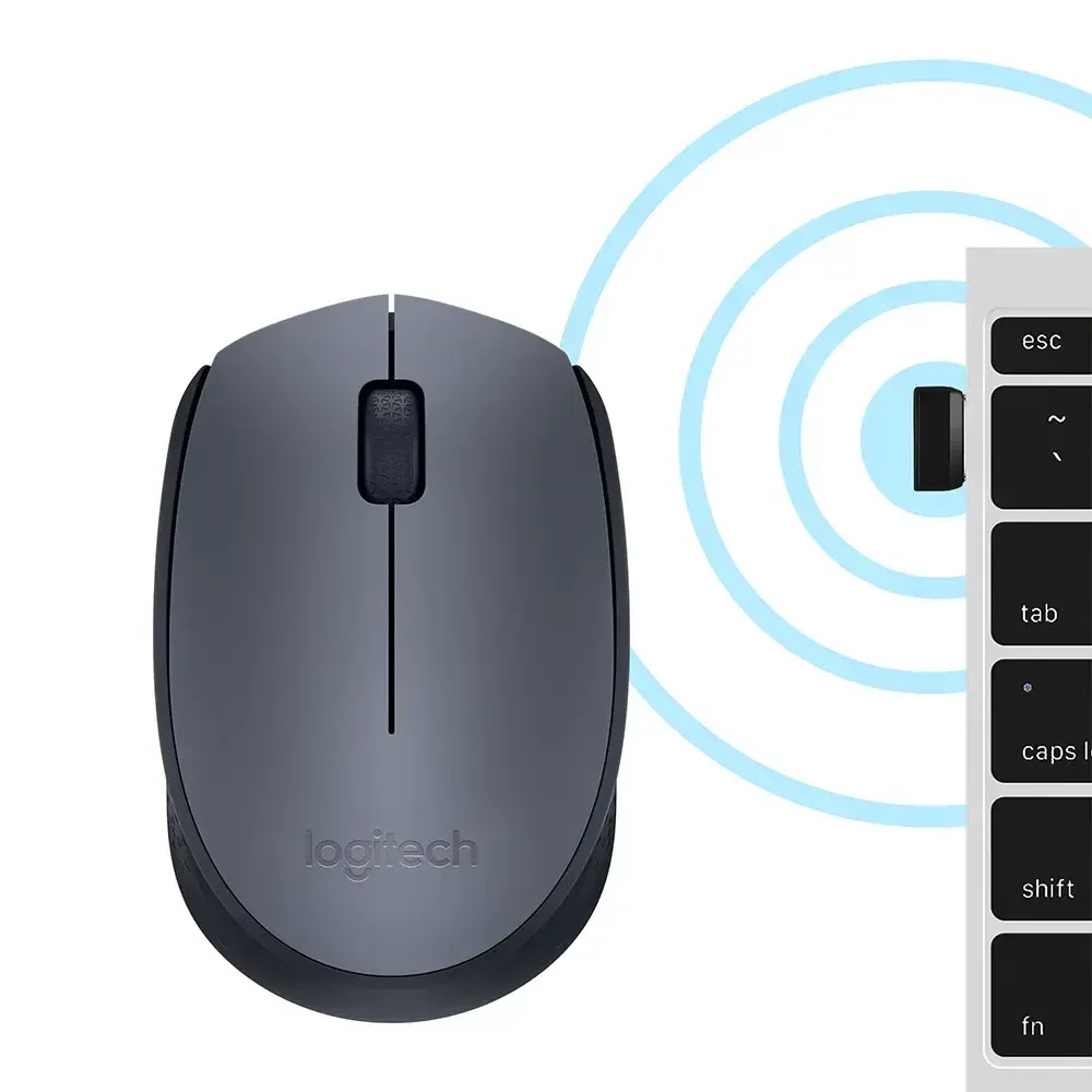 Souris sans fil Logitech M170